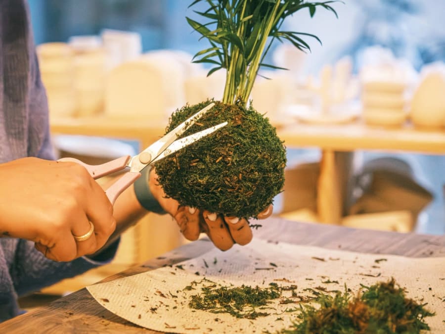 Kokedama workshop in Grenoble (38)