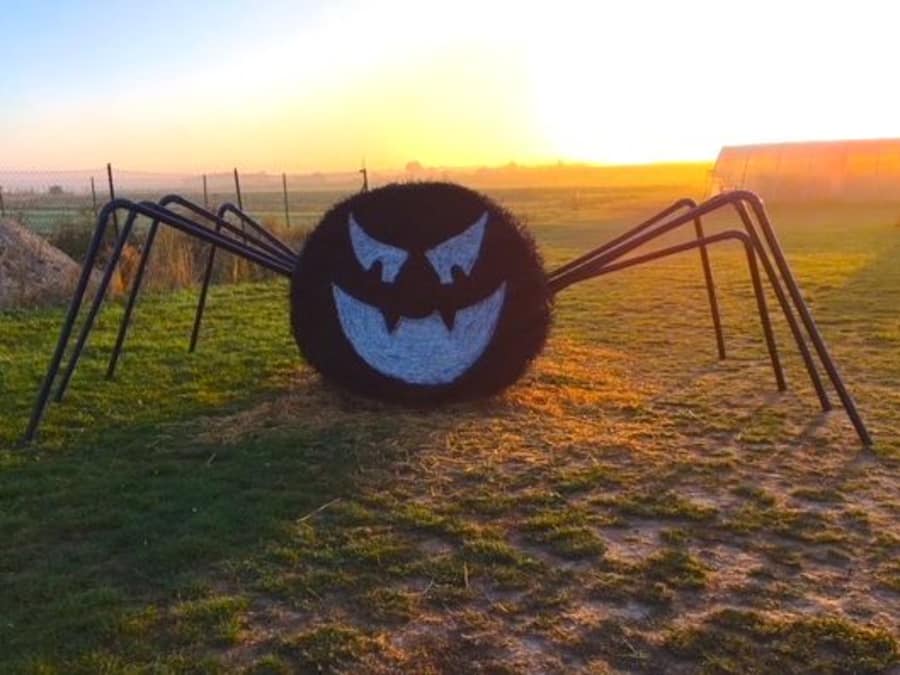Atelier citrouille Halloween à la Cueillette de Torfou (91)