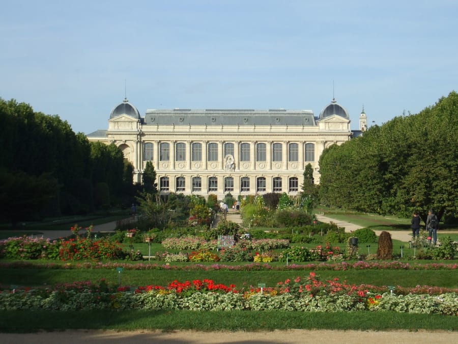Anniversaire Jeu de Piste au Jardin des Plantes 8-11 ans