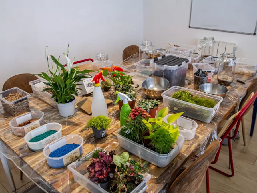 Atelier terrarium à Paris 5ème