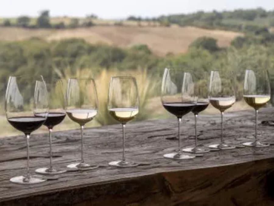 Team Building Visite immersive de troupeau et dégustation de vin