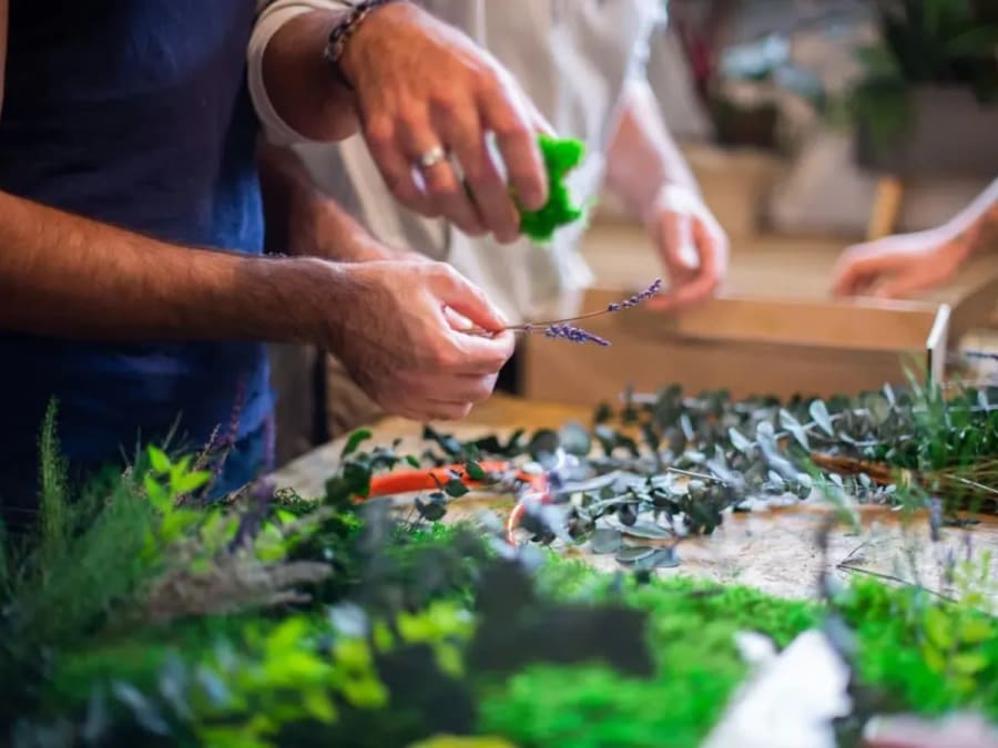 Atelier tableau végétal à Saint-Genis-Laval (69)