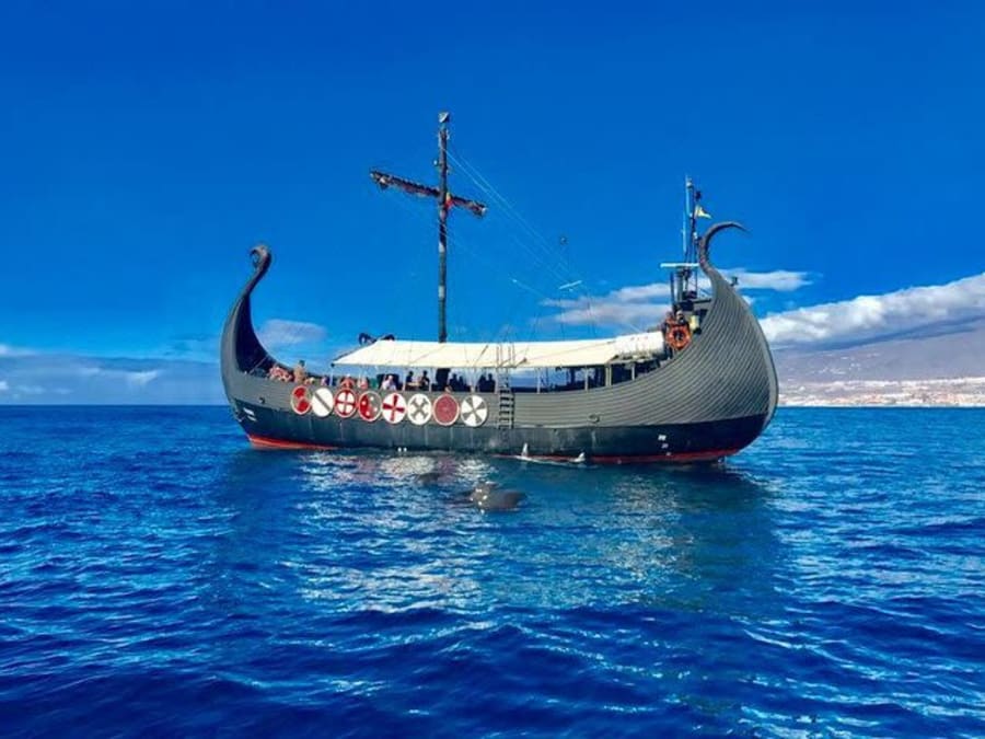 Croisière Viking et observation des dauphins  à Tenerife