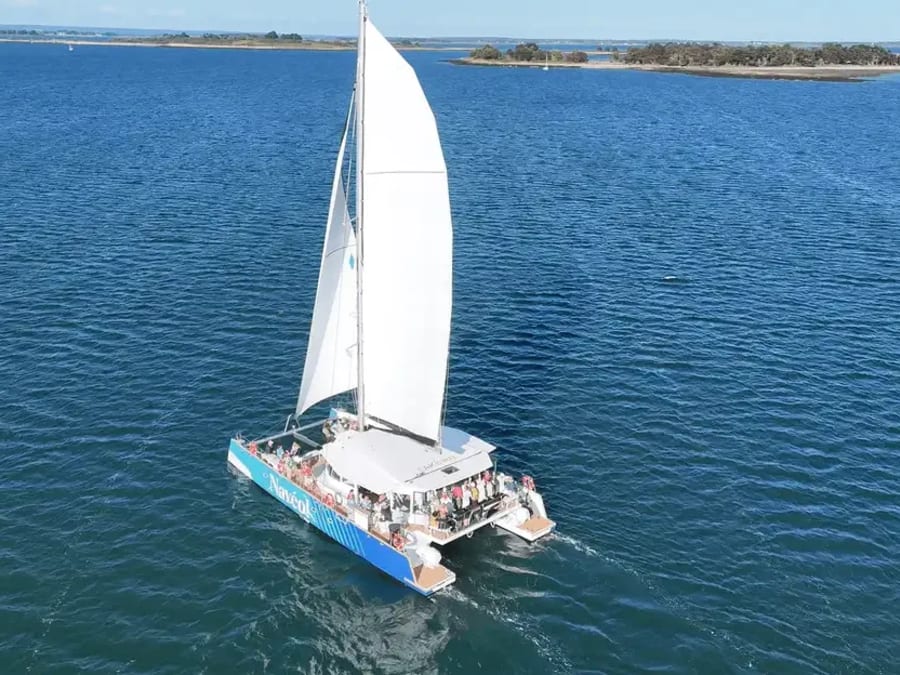 Brunch à bord d'un catamaran à Vannes (56)