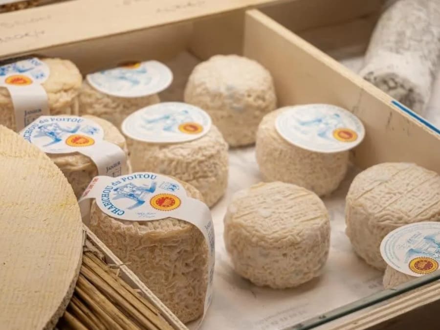 Local beer & cheese tasting in Villeneuve-Loubet (06)