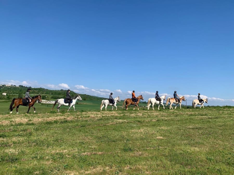 Night-time horseback riding for experienced riders in Champis