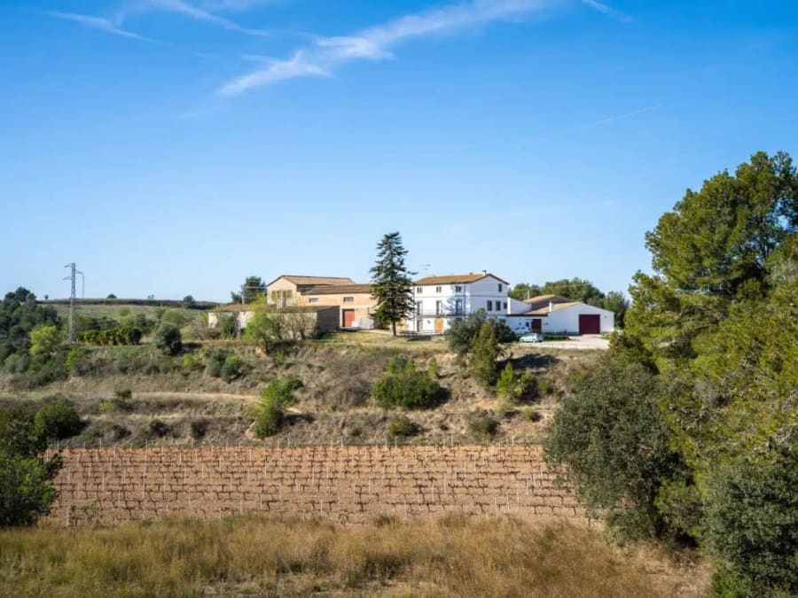 Fietstocht en kelderbezoek met wijnproeverij in de wijngaarden van Penedès