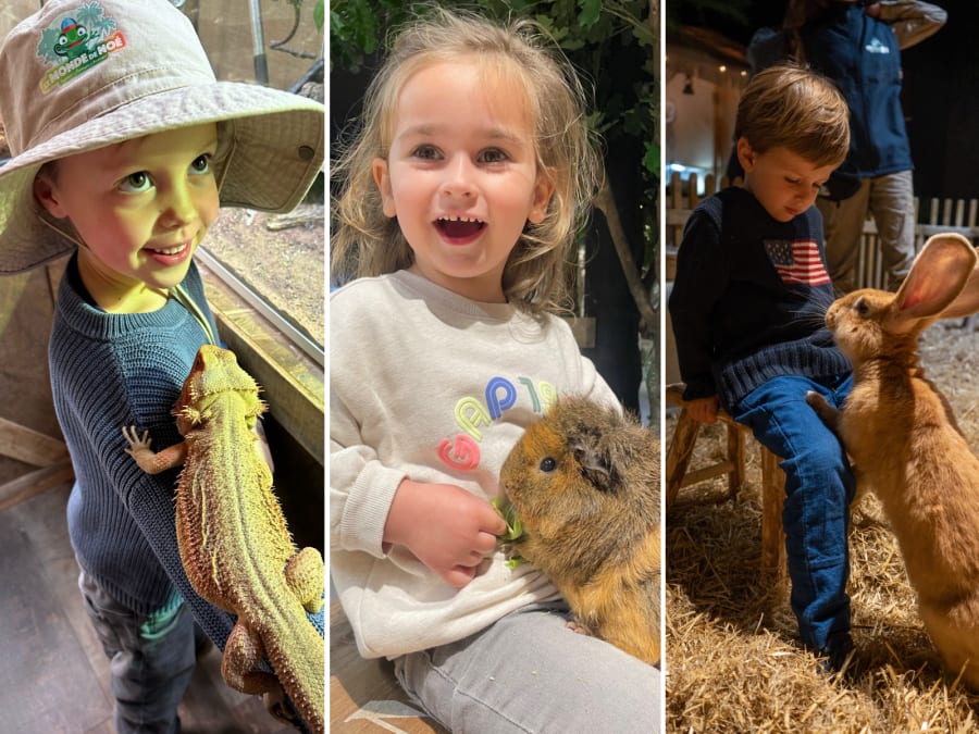 Anniversaire auprès des animaux au Monde de Noé à Paris