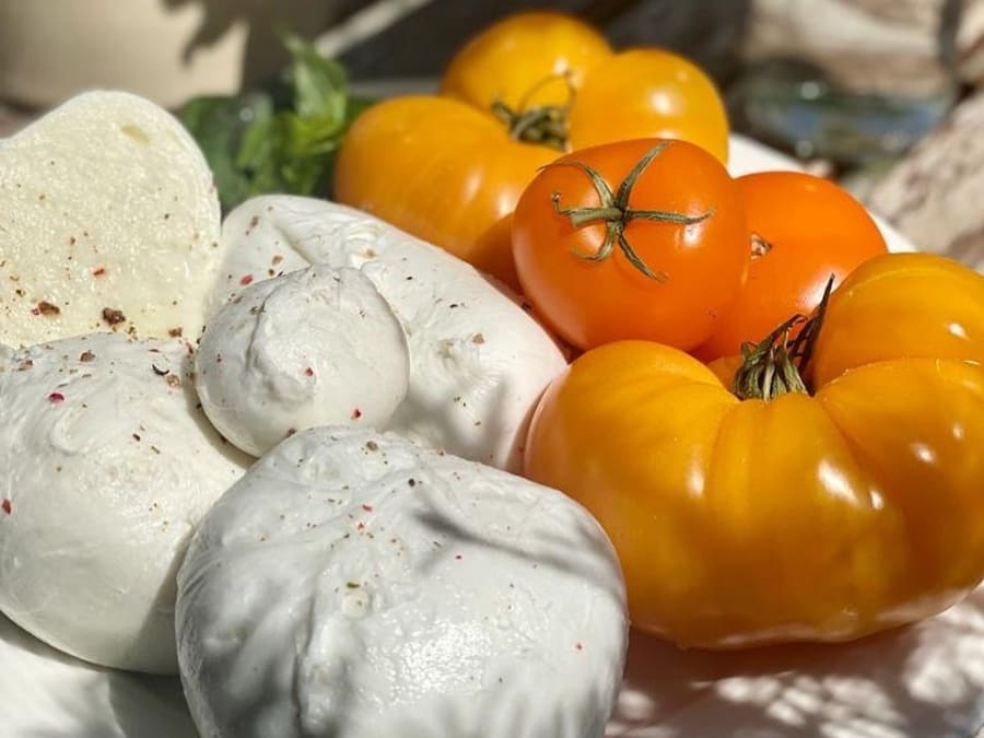 Atelier fabrication de Burrata et Mozzarella à Toulouse (31)