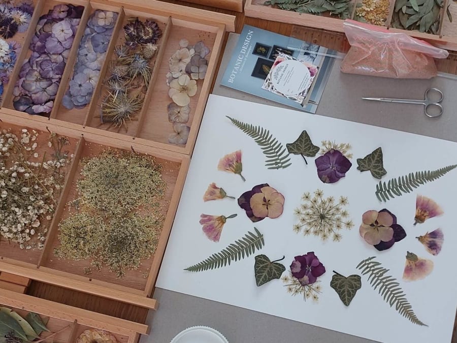 Atelier création d'herbiers à Saint-Aubin-de-Médoc (33)