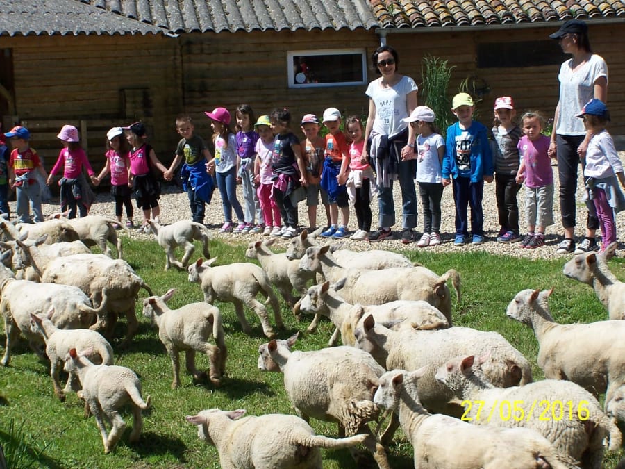 Visite de la ferme pédagogique de Monsieur Seguin & goûter (01)