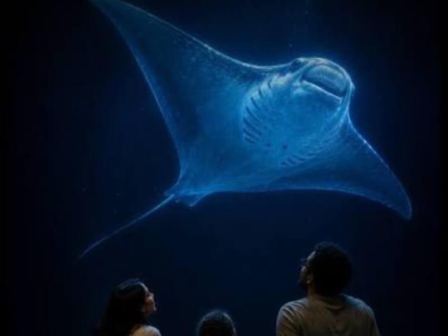 Team Building immersif chez Hologram Zoo Paris