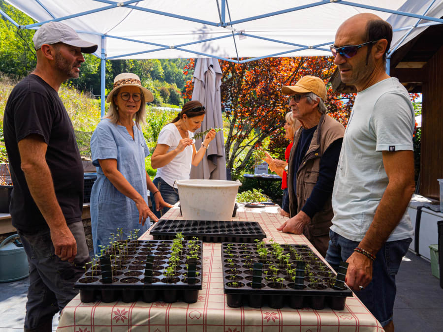 Crea tu propio huerto de permacultura en Annecy (74)