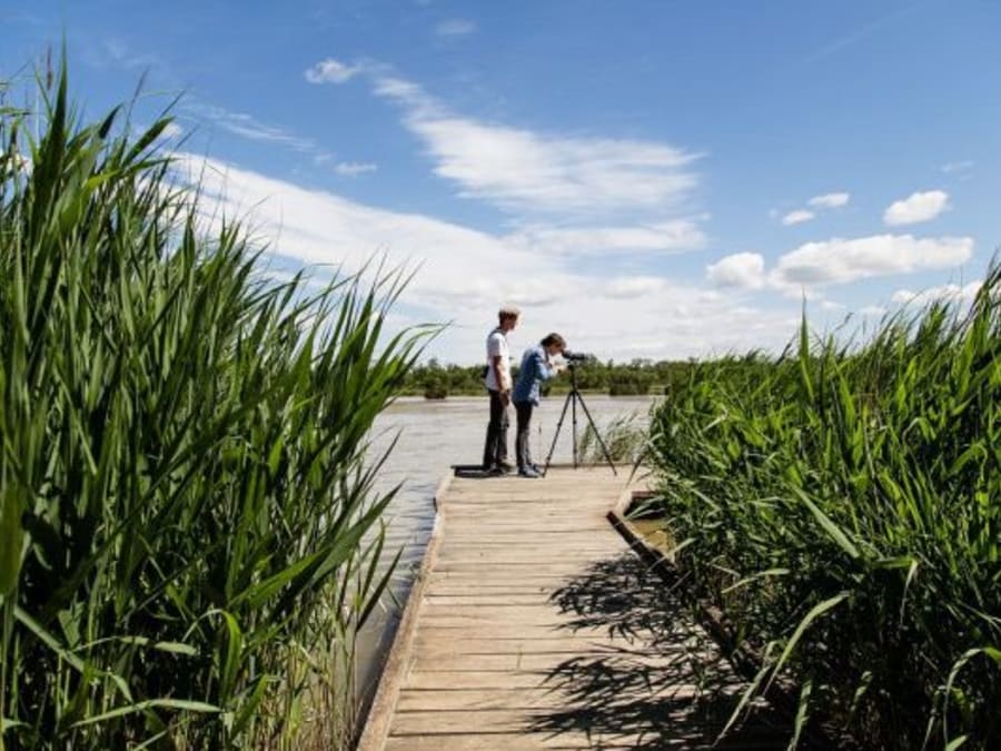 Balade dans les sentiers de l'Etourneau (13)