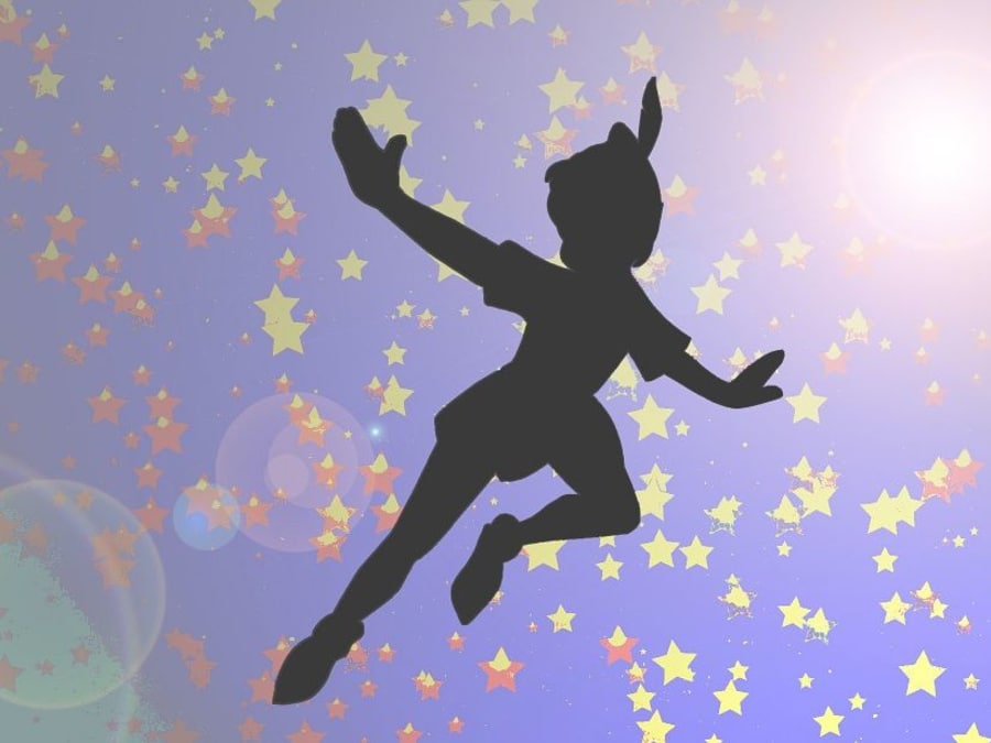 Anniversaire Peter Pan 3 7 Ans A Domicile Funbooker
