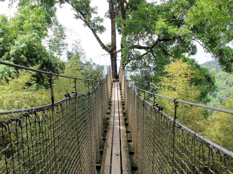 Billet pour le Jardin de Balata en Martinique