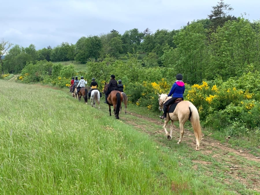 Horseback riding in Champis (07)