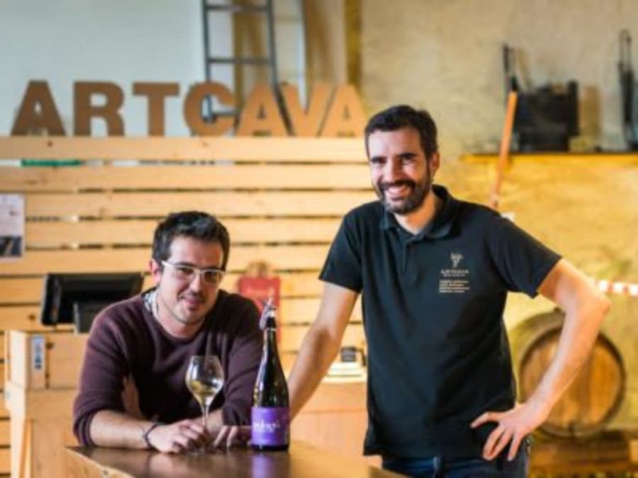 Bezoek aan wijngaarden en proeverij van Artcava-cava in Penedès