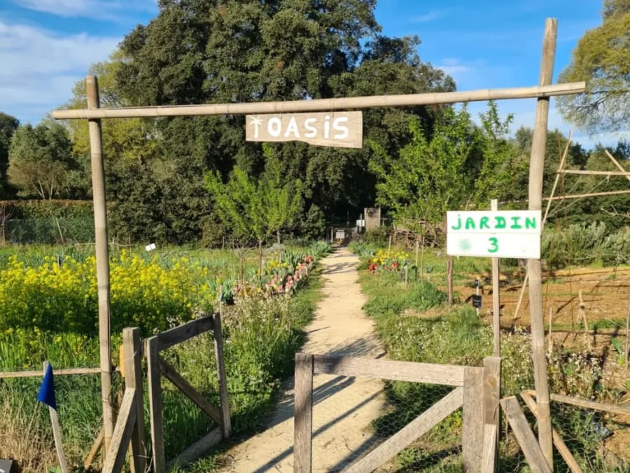 Introduction to craft beer brewing in Montpellier (34)