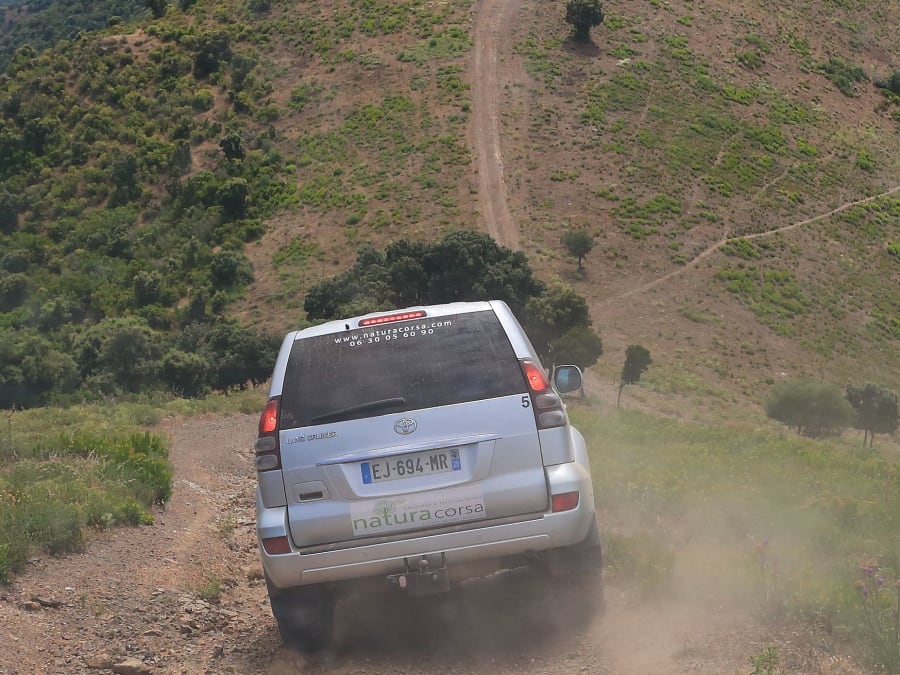 Excursión en 4x4 "Vallée de l'Asco" con salida de Balagne