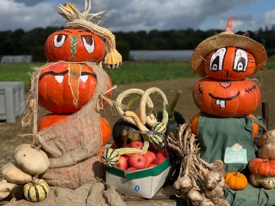 Atelier Halloween sculpture sur citrouille à Lumigny (77)