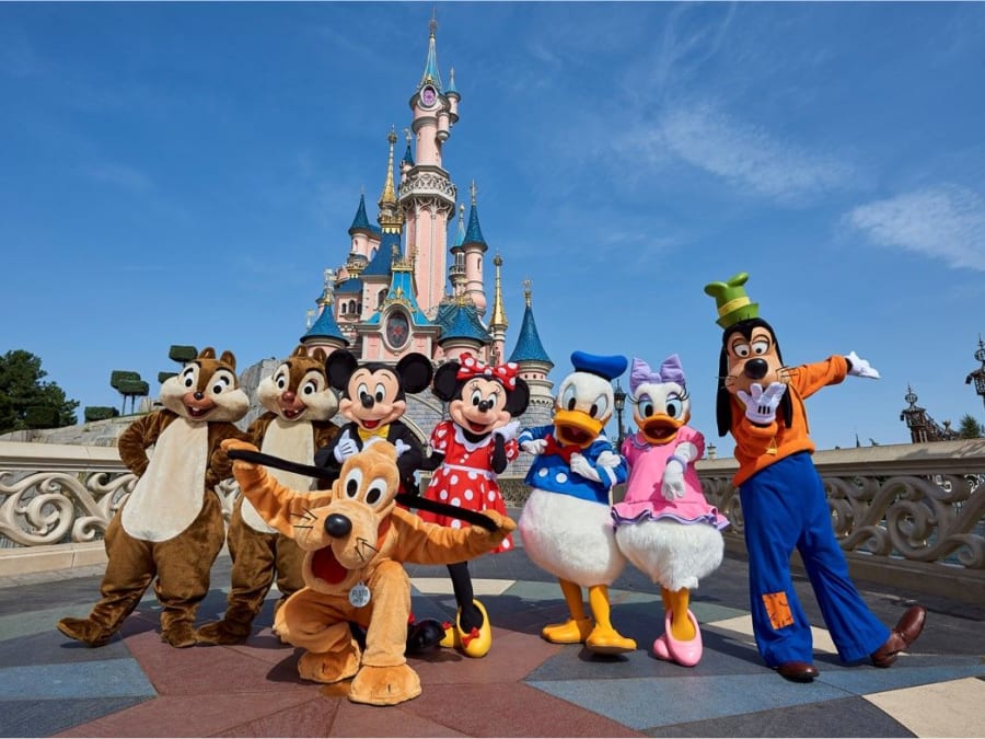 Billet pour Disneyland Paris - 1 parc