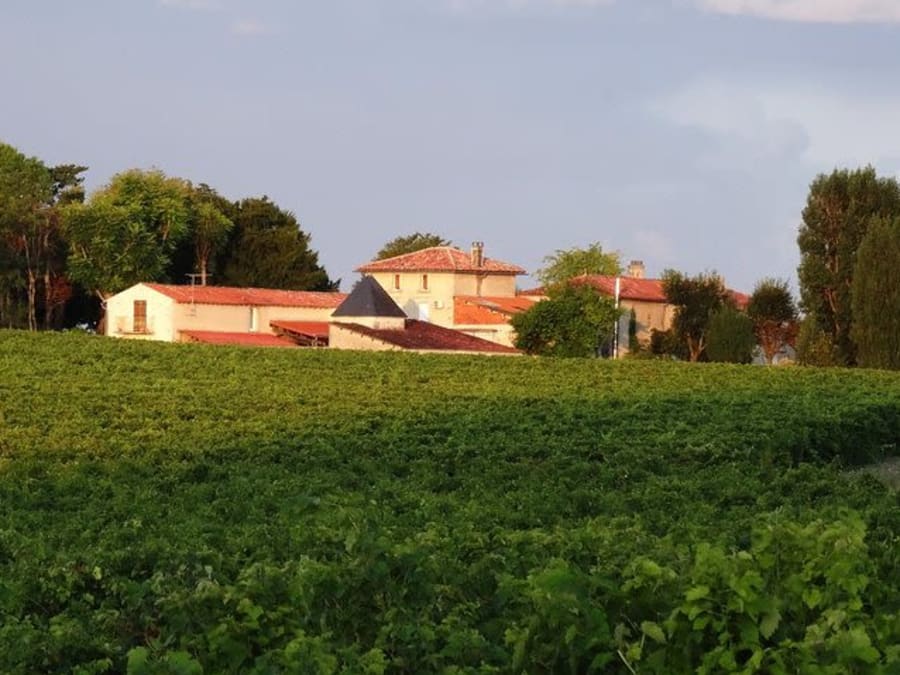 Cognac & distilleries private day from Angoulême (16)