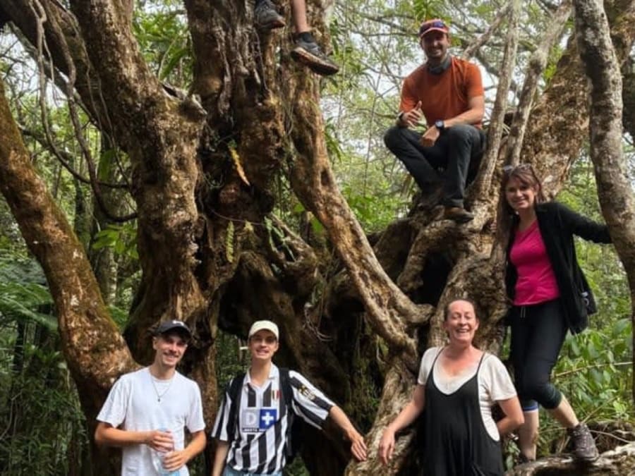 Escursione al Trou de Fer a La Réunion (97)