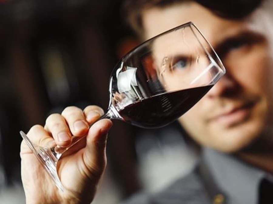 Atelier oenologique "Grands crus de Bordeaux" à Bordeaux