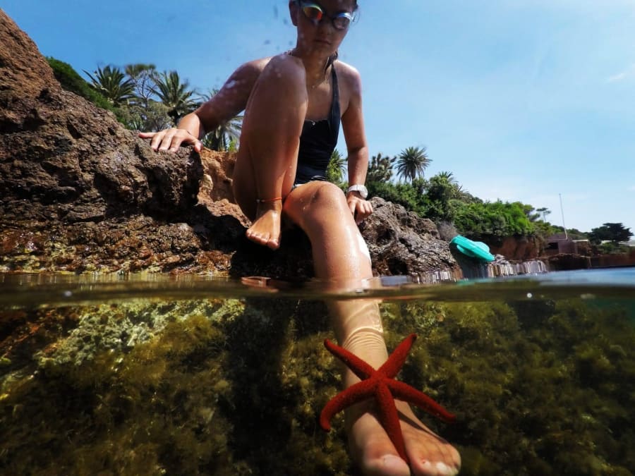 Excursion en bateau "Estérel Essentiel" depuis Cannes (06)