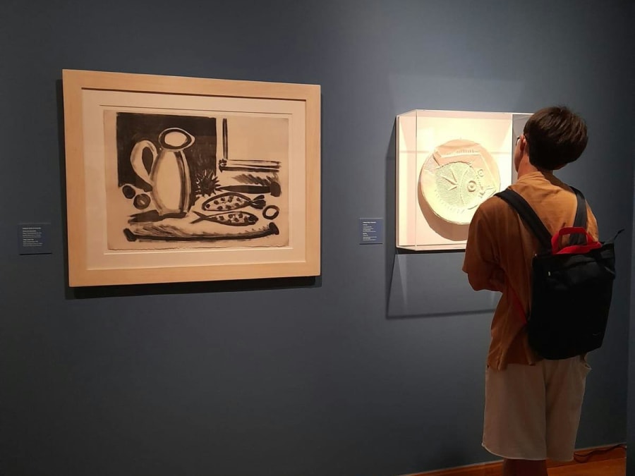 Billet pour le  Musée-maison natale de Pablo Picasso à Malaga