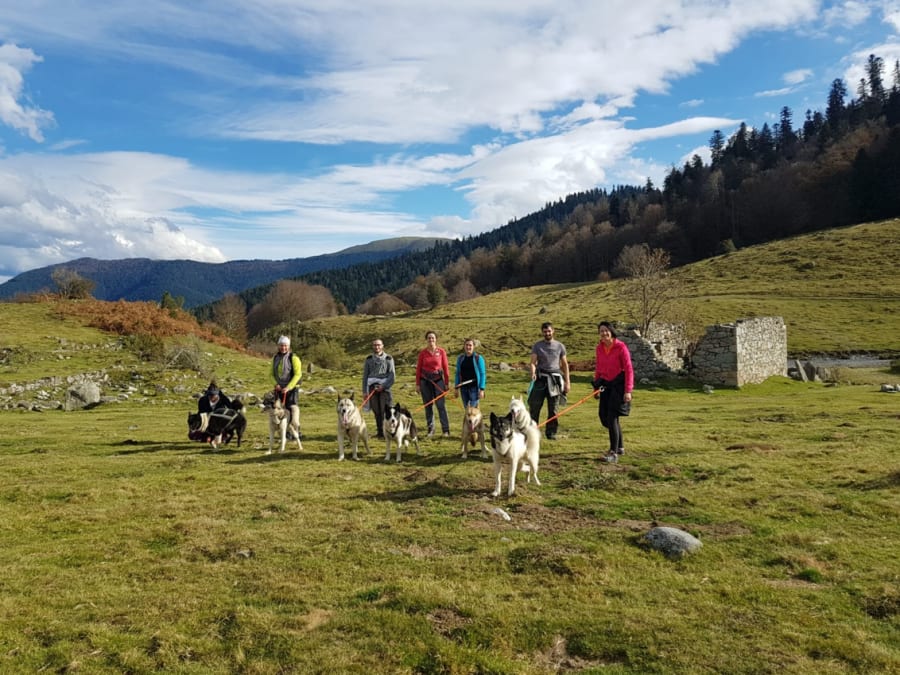 Cani-rando à Soudat (24)