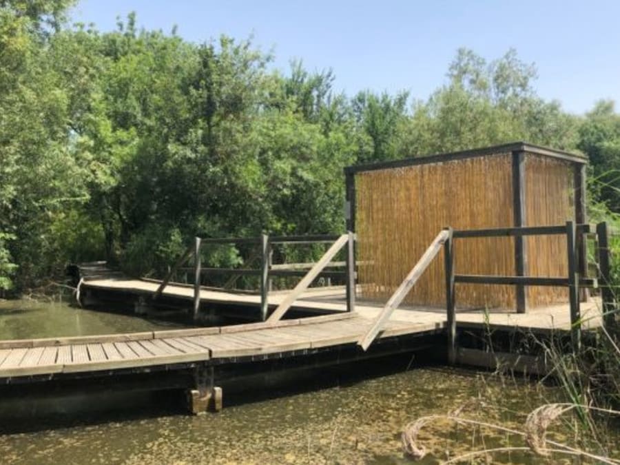 Balade dans les sentiers de l'Etourneau (13)