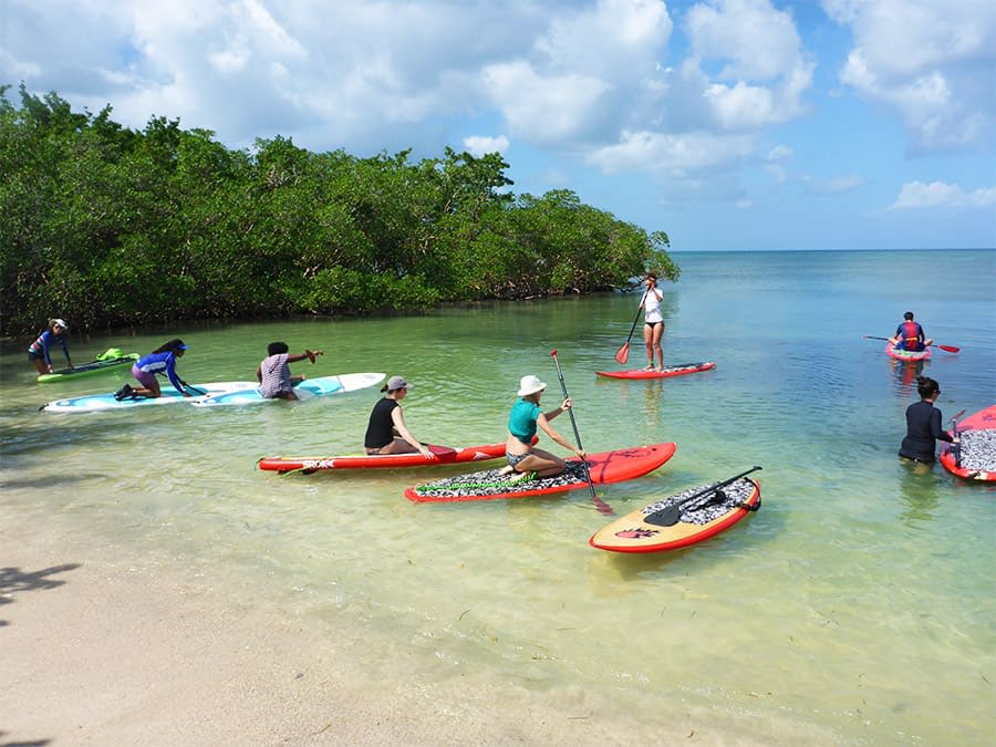 Excursion de l'Anse Babin en Stand Up Paddle en Guadeloupe (971)