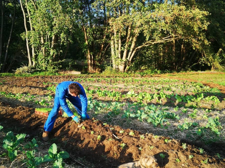 Les Clés de la Ferme à Chevannes (45)
