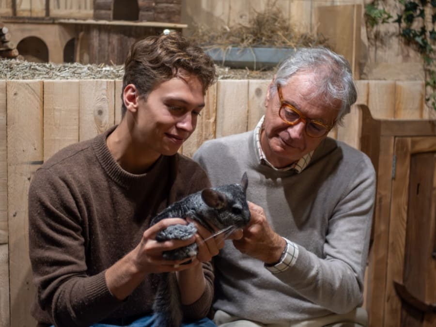Team Building expérience immersive animalière au Monde de Noé à Lille
