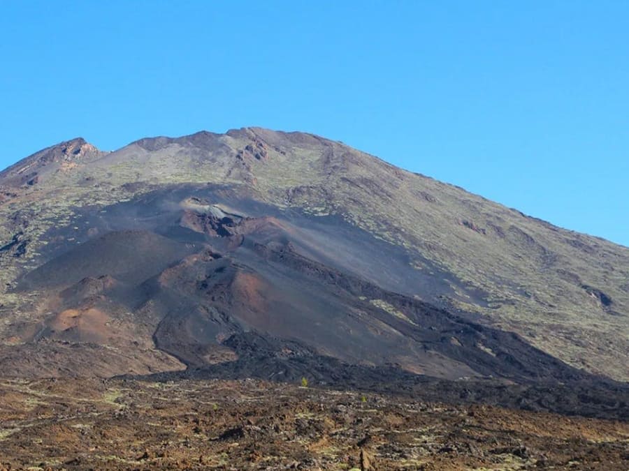 Half-day guided tour of Teide National Park
