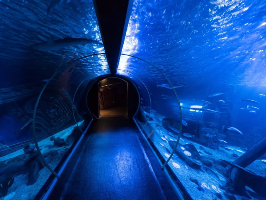 20 000 lieues sous les mers à Val d'Europe (Serris, 77)
