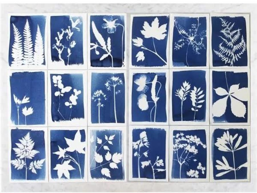 Team Building croisière & atelier cyanotype à Paris 13ème