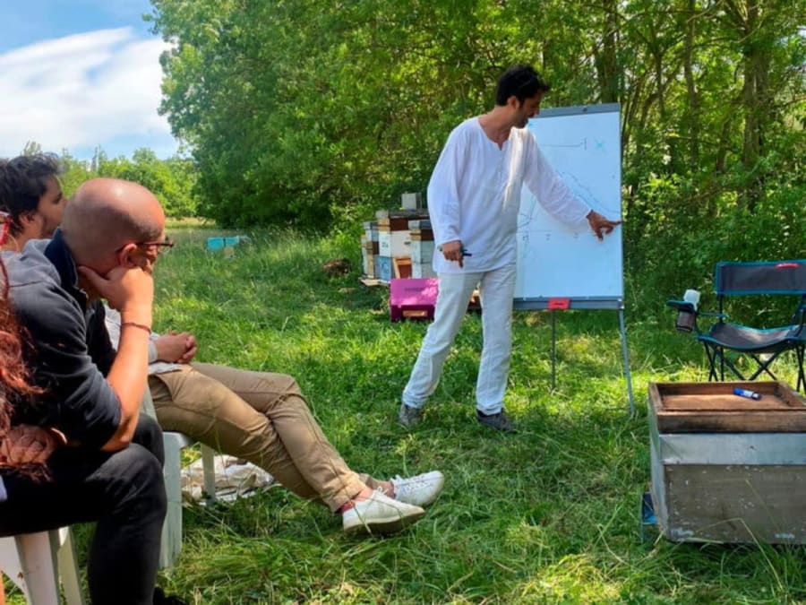 Team Building découverte de l'apiculture & dégustation de miel à Francillon (26)