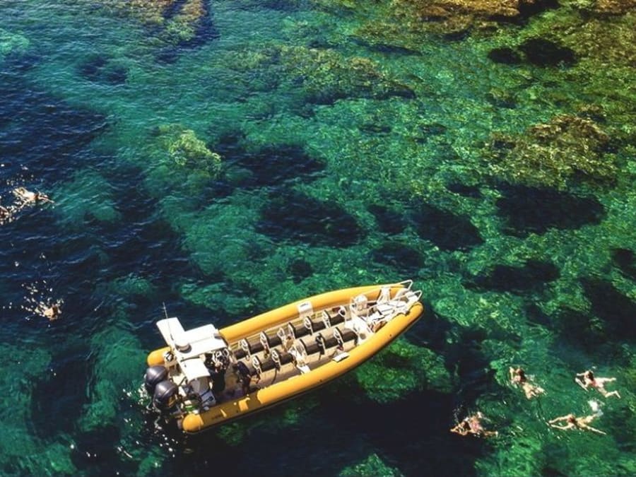 Tour en bateau 3h "L'inoubliable" depuis Porto