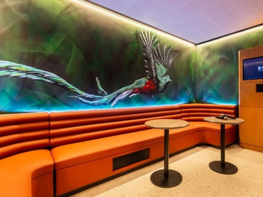 Team Building Karaoké à Bordeaux