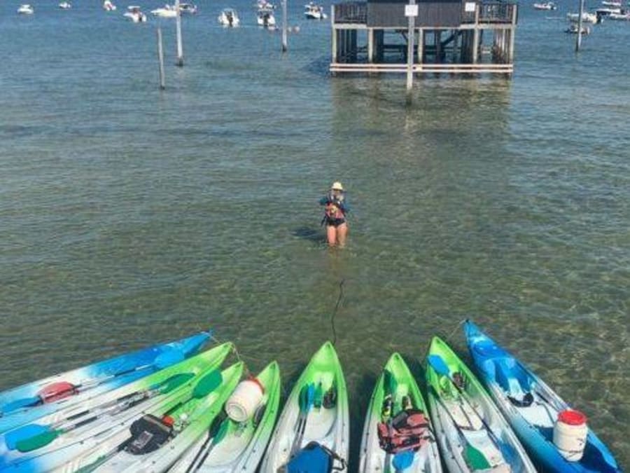 Gita in kayak alle "Tchanquées" del bacino di Arcachon