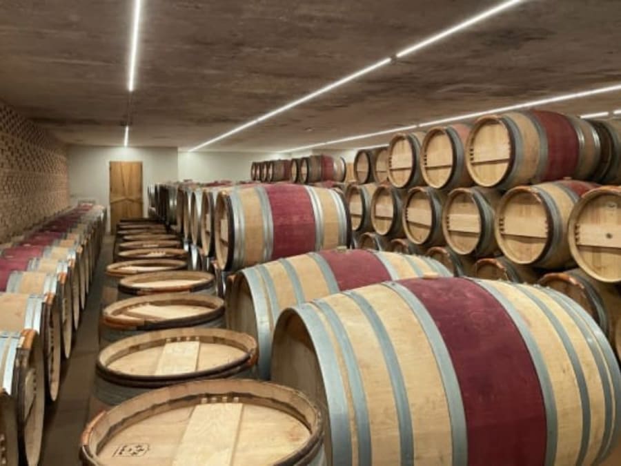 Ruta privada del vino con salida de Saint-Emilion (33)