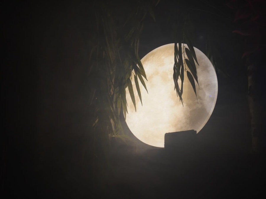 "The Lost Cabin" Escape Game in Créteil (94)