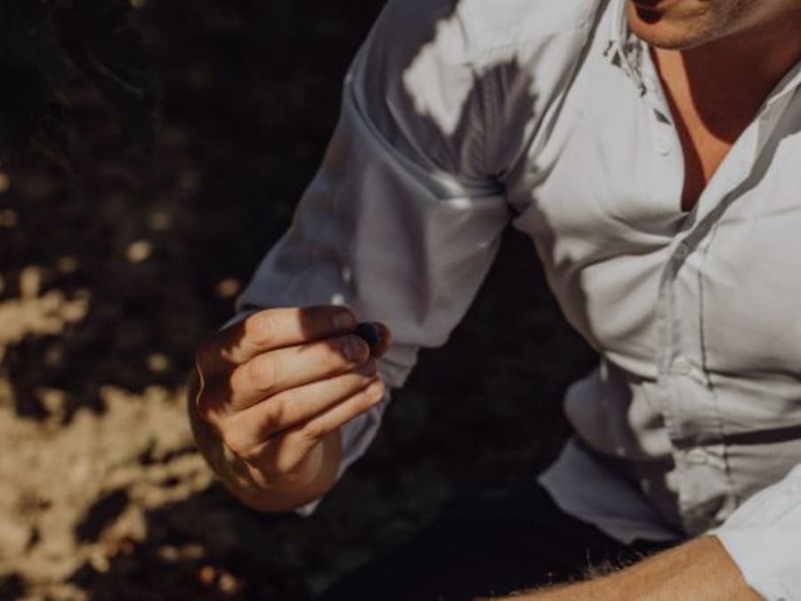 Team Building autour de la vigne à la Bouche du Roi (78)