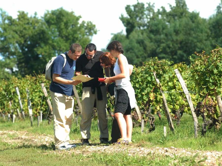 Team Building Experience en Champagne (51)