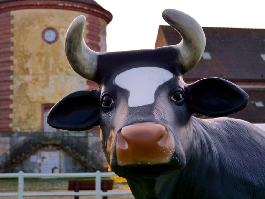 Lait'scape Game at the Bergerie Nationale de Rambouillet (78)