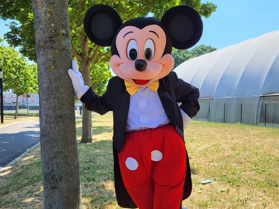 Intervention de Mascotte Mickey et ses amis en Ile-de-France