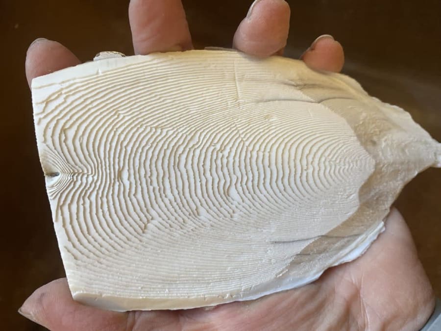Atelier bijou en argent recyclé à Lège-Cap-Ferret